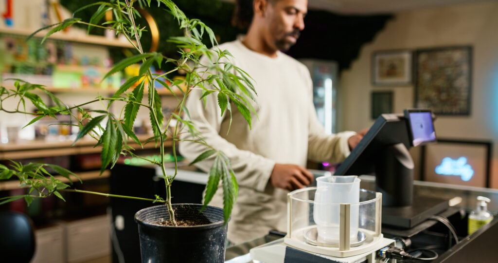 cannabis worker inside of retail store licensing solutions